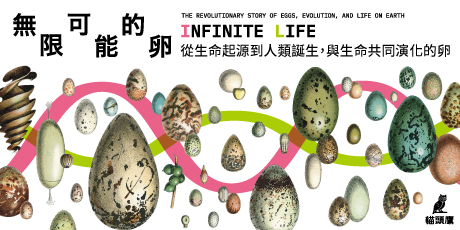 無限可能的卵：從生命起源到人類誕生，與生命共同演化的卵